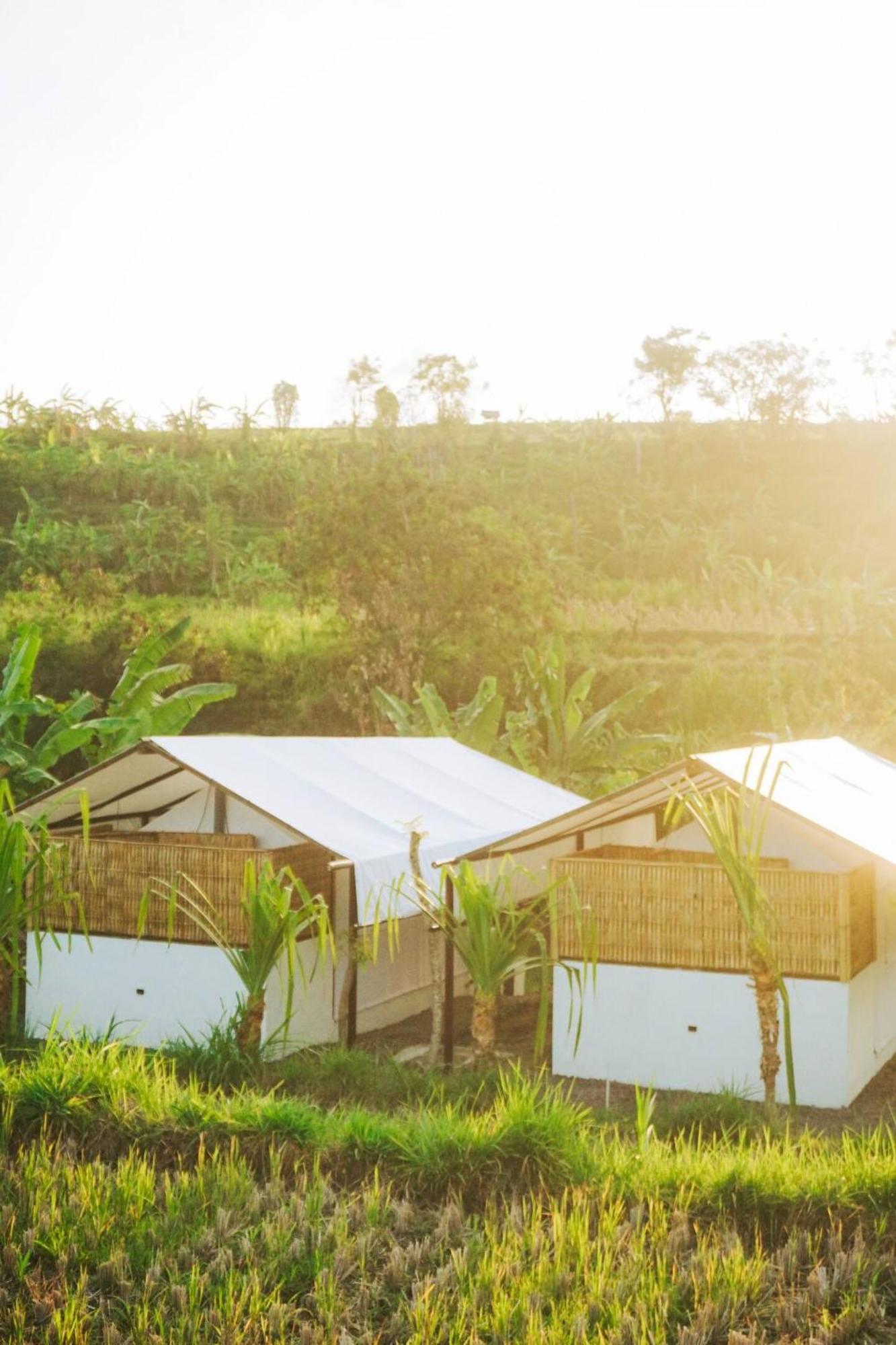 ホテル Camani Glamping Karangasem エクステリア 写真