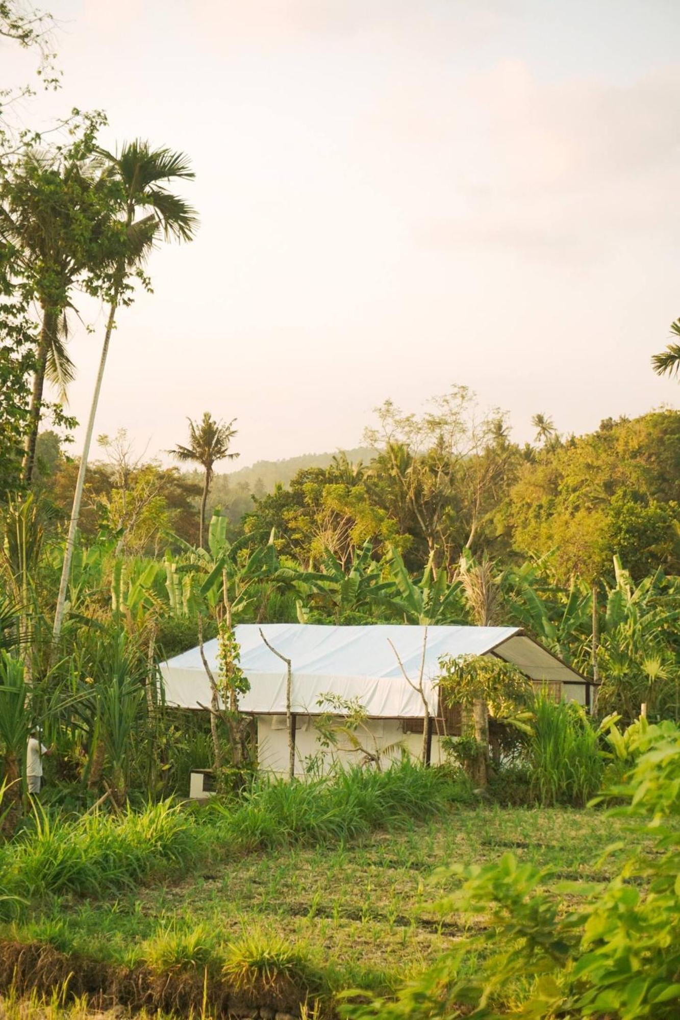 ホテル Camani Glamping Karangasem エクステリア 写真