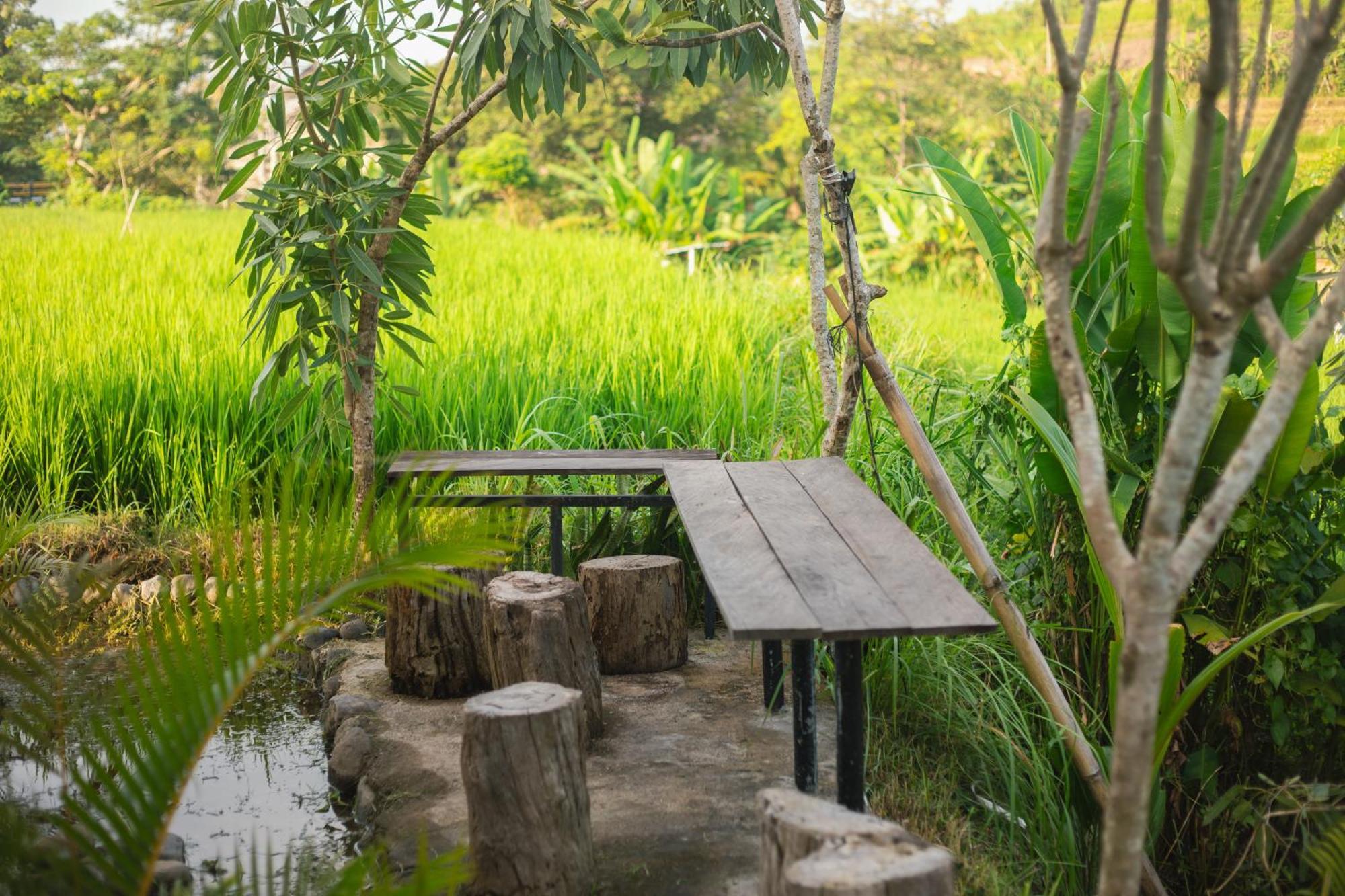 ホテル Camani Glamping Karangasem エクステリア 写真
