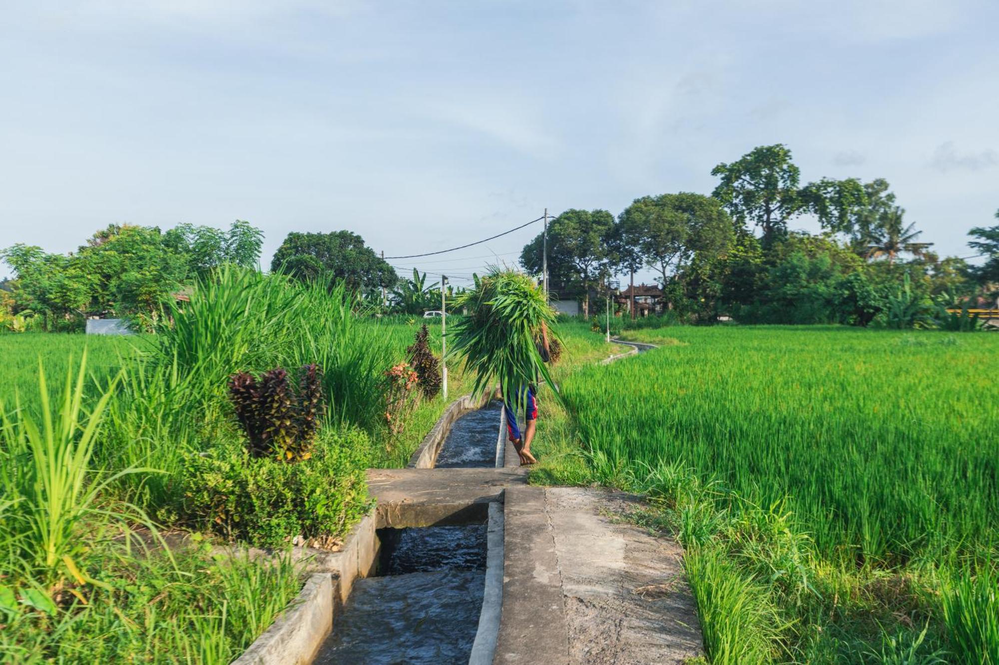 ホテル Camani Glamping Karangasem エクステリア 写真