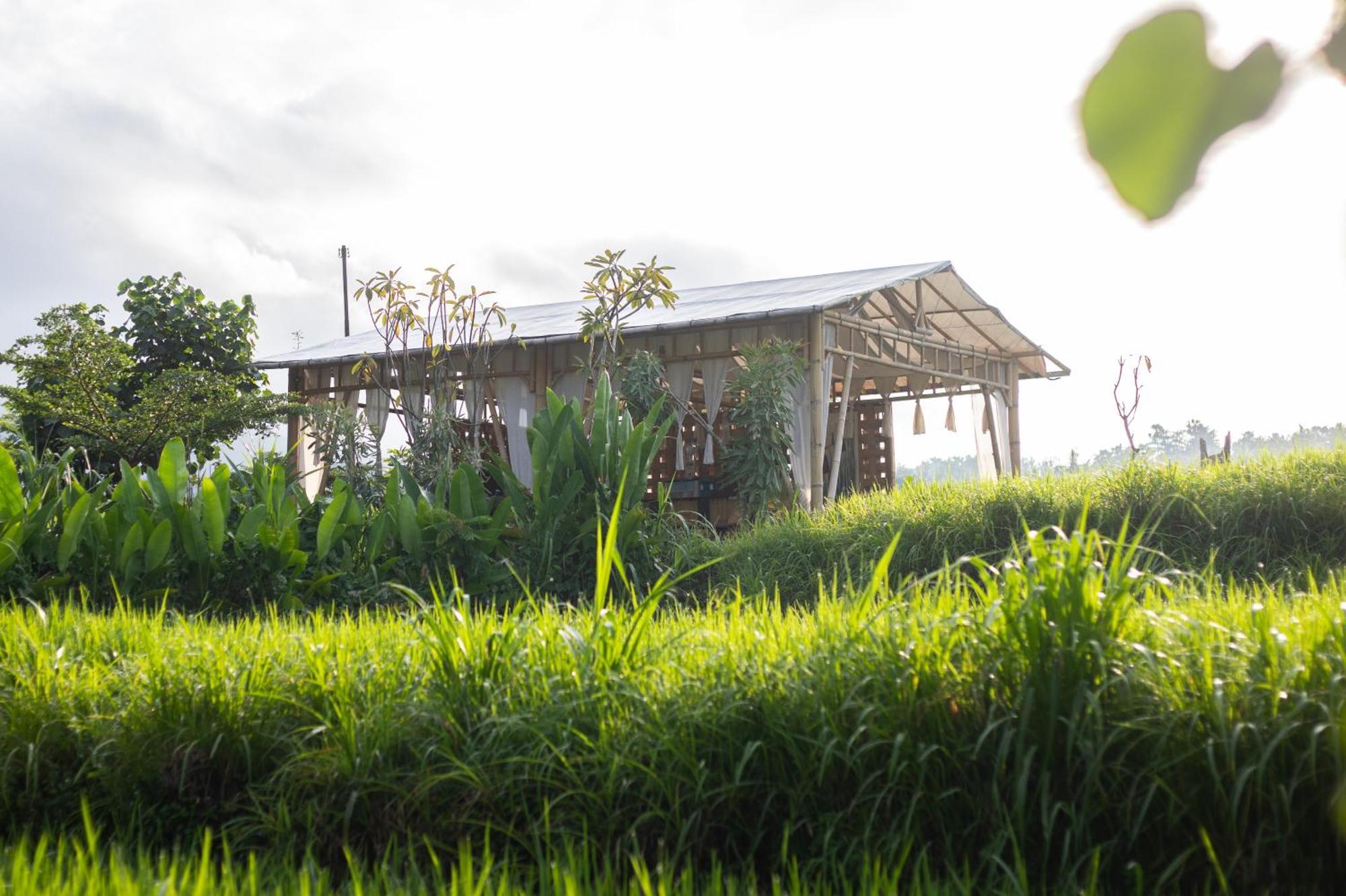 ホテル Camani Glamping Karangasem エクステリア 写真