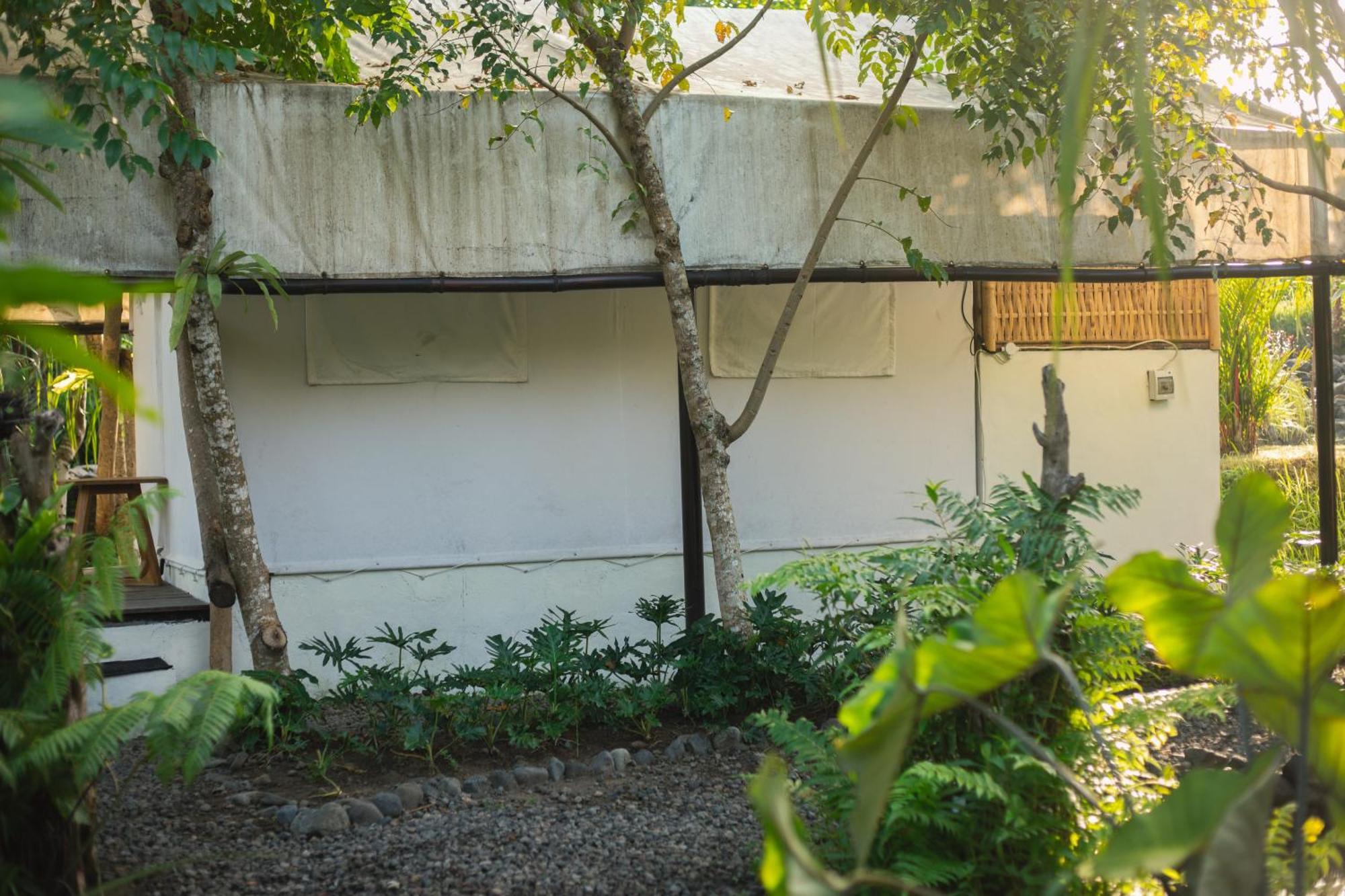 ホテル Camani Glamping Karangasem 部屋 写真