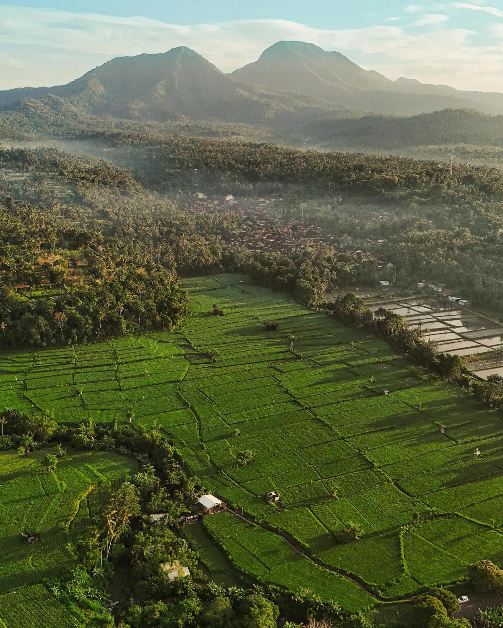 ホテル Camani Glamping Karangasem エクステリア 写真